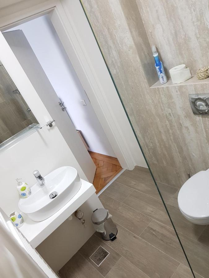 Cluj Central Square 2 Rooms Apartment Eksteriør bilde